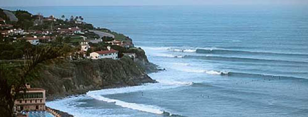 Surfing Column